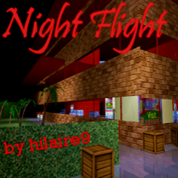 Night Flight